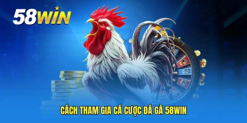 Cách tham gia cá cược đá gà 58WIN