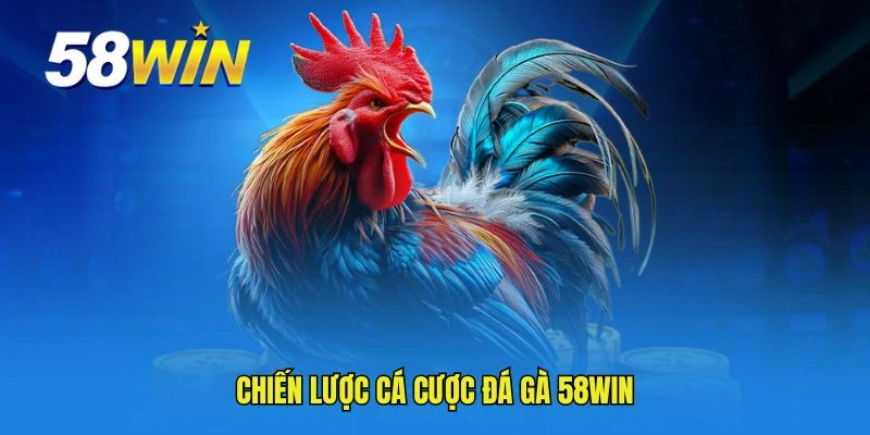 Chiến lược cá cược đá gà 58WIN