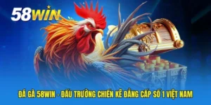 Đá gà 58WIN