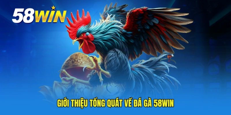 Giới thiệu tổng quát về đá gà 58WIN