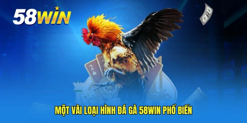 Một vài loại hình đá gà 58WIN phổ biến