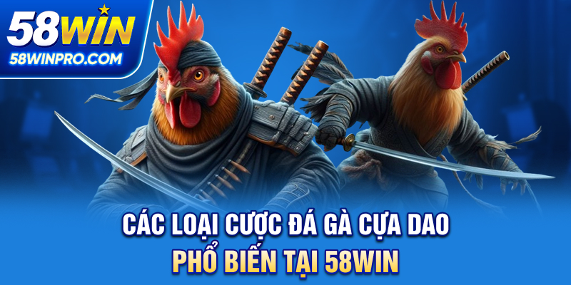 Các loại cược đá gà cựa dao phổ biến tại 58WIN