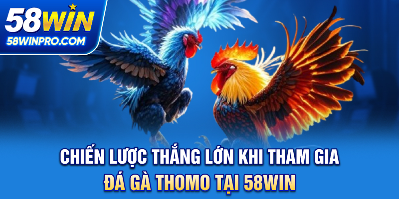 Chiến lược thắng lớn khi tham gia đá gà thomo tại 58WIN