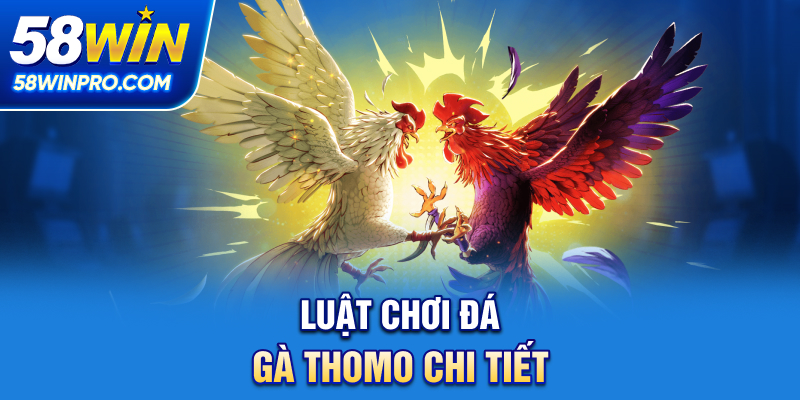 Luật chơi đá gà thomo chi tiết