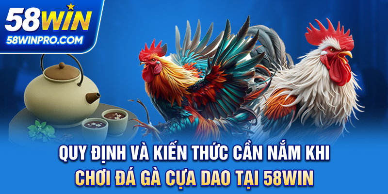 Quy định và kiến thức cần nắm khi chơi đá gà cựa dao tại 58WIN
